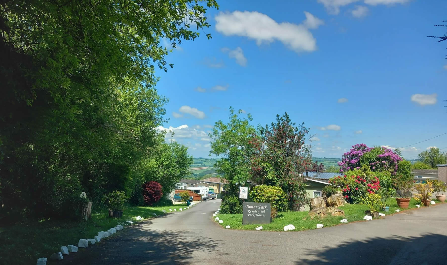 Tamar Park Cornwall - Beatiful Park Scene