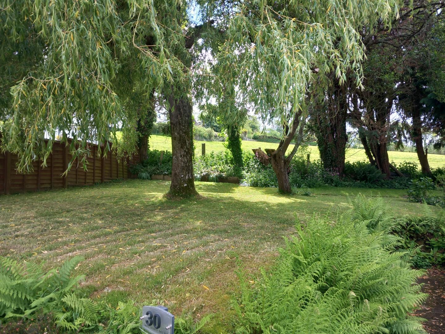 Tamar-Residential-Park-Cornwall Trees