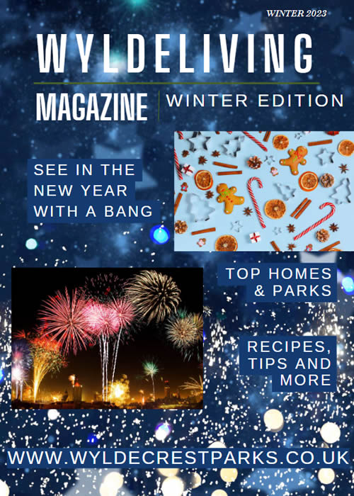 Wyldeliving Winter Edition 2023 Front Cover