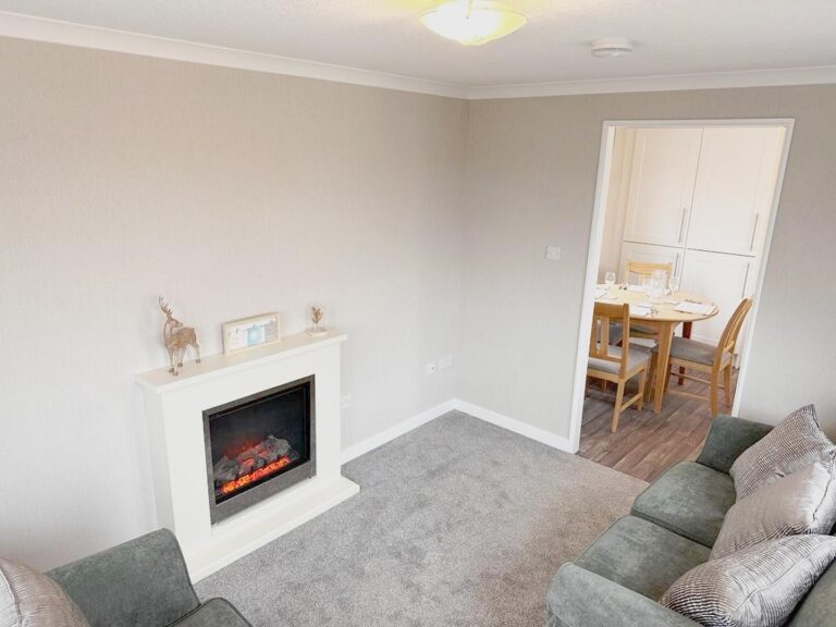 New Omar Regency on Radcliffe Park Living Fireplace