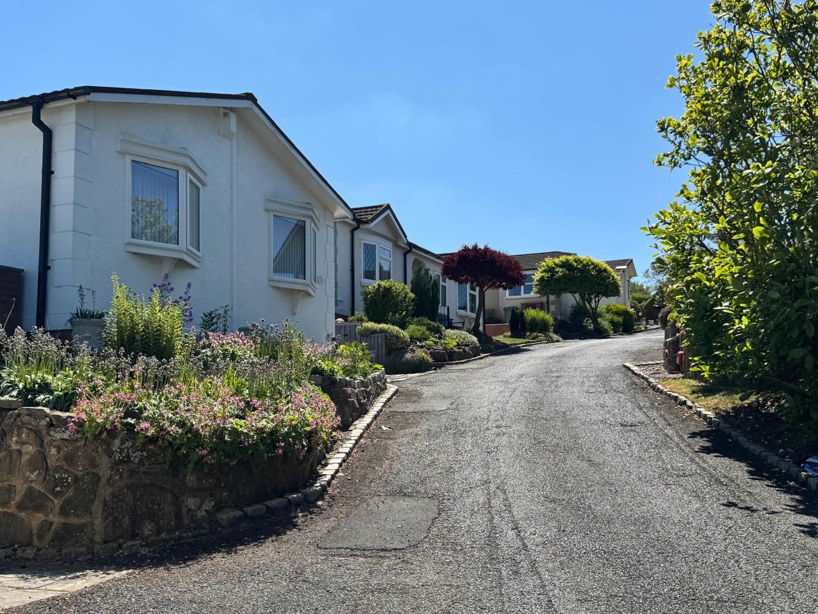 Alvanley Residential Park - Park Image 3